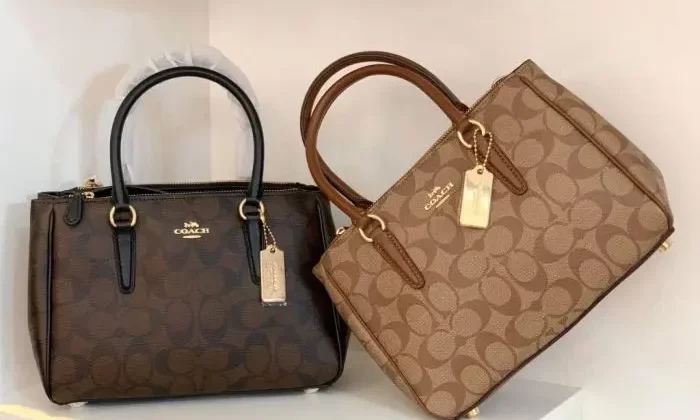 Latest Stylish Original Coach Bag Model